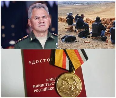 Медали шойгу