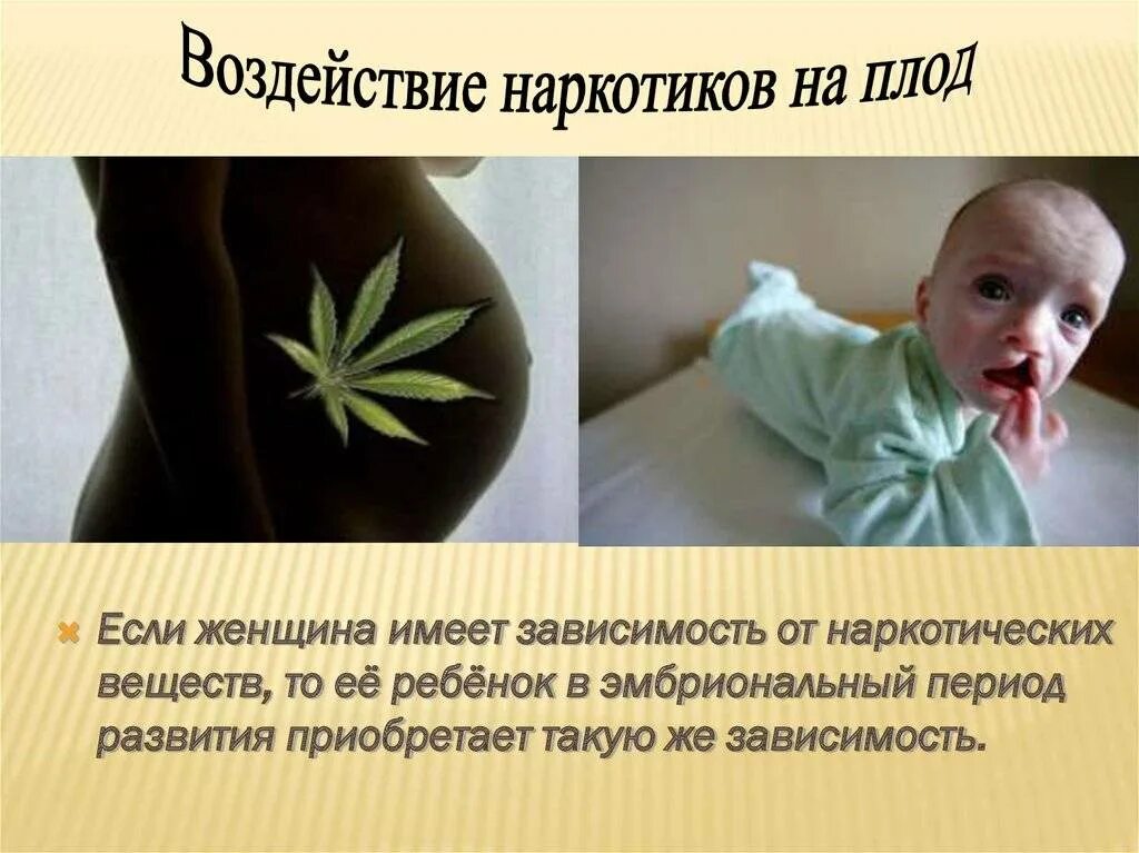 Влияние наркотиков на плод. Влияние наркотиков на зародыш. Влияние наркотиков на эмбрион человека. Влияние наркотиков на заро.