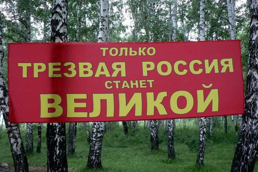 День трезвости. Лозунги про трезвость. Праздник трезвенников. Слоганы о трезвости.