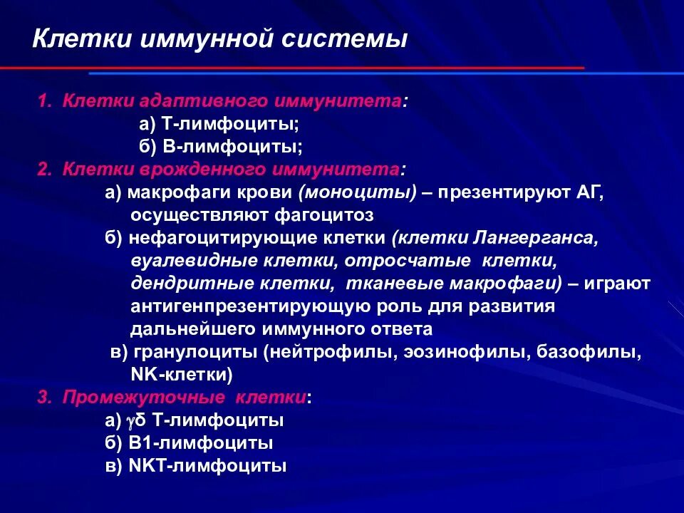 Основные иммунные клетки. Иммунологические функции т и в лимфоцитов. Клетки иммунной системы. Классификация иммунных клеток. Главные клетки иммунной системы:.