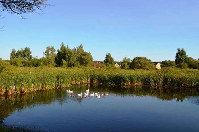 База обуховка старый оскол. Бабанинский родник белгородская область. Бабанинка старооскольский район. Бабанинка. Село бабанинка белгородская область.