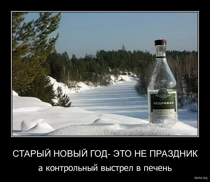Может быть такой год. Старый новый год демотиватор. старый новый год приколы. шутки про старый новый год. юмор про новогодние праздники.
