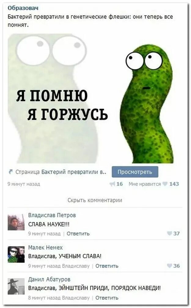 смешные комментарии из социальных сетей. забавные комментарии из социальных сетей. смешные комментарии в соц сетях. смешные комментарии из соцсетей. забавные комментарии.