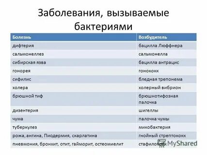 Бактерии и вирусные инфекции