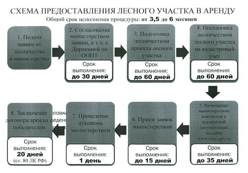 Заключение договора аренды лесного участка процедура. Договора аренды лесного участка схема. Договор аренды лесных участков. Порядок заключения договора аренды лесного участка. Проведение торгов по аренде