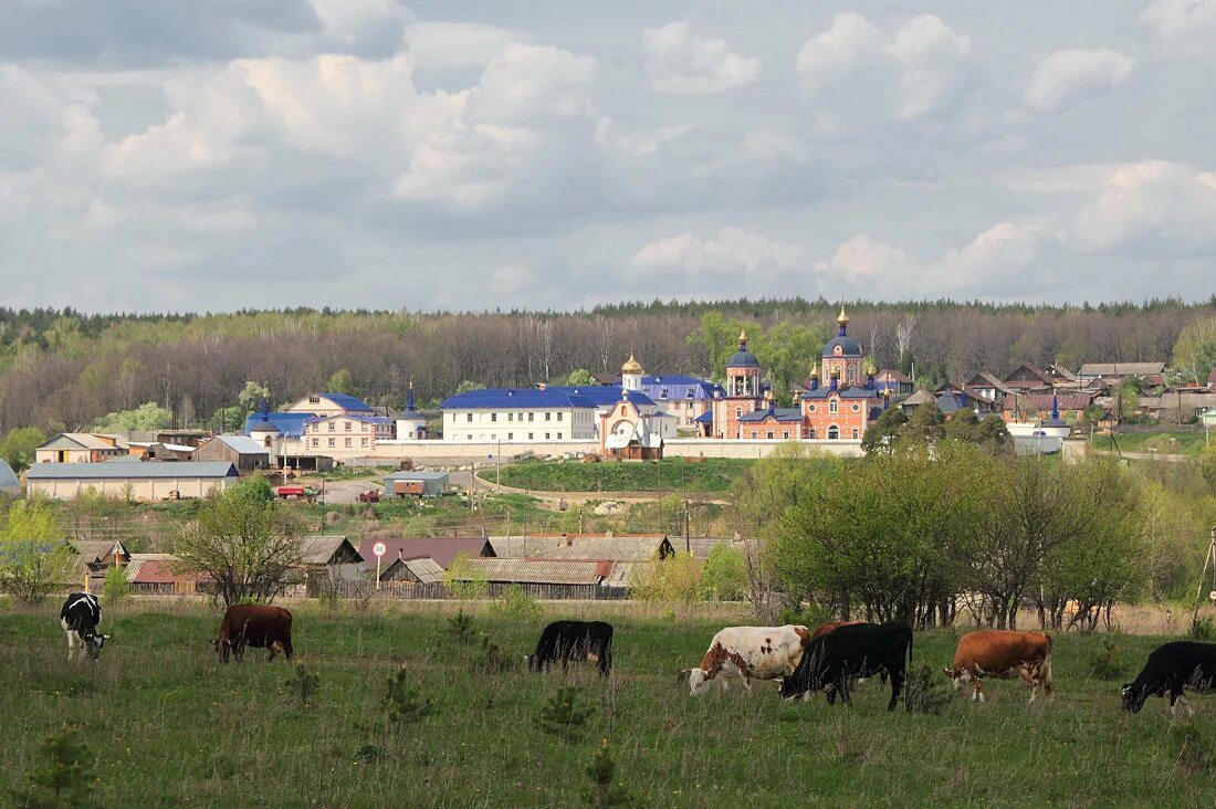 Поселок самородки ульяновская область. Село жадовка ульяновская область мужской монастырь. Поселок самородки ульяновская область. Жадовская пустынь ульяновская область. Живоносный источник казань.