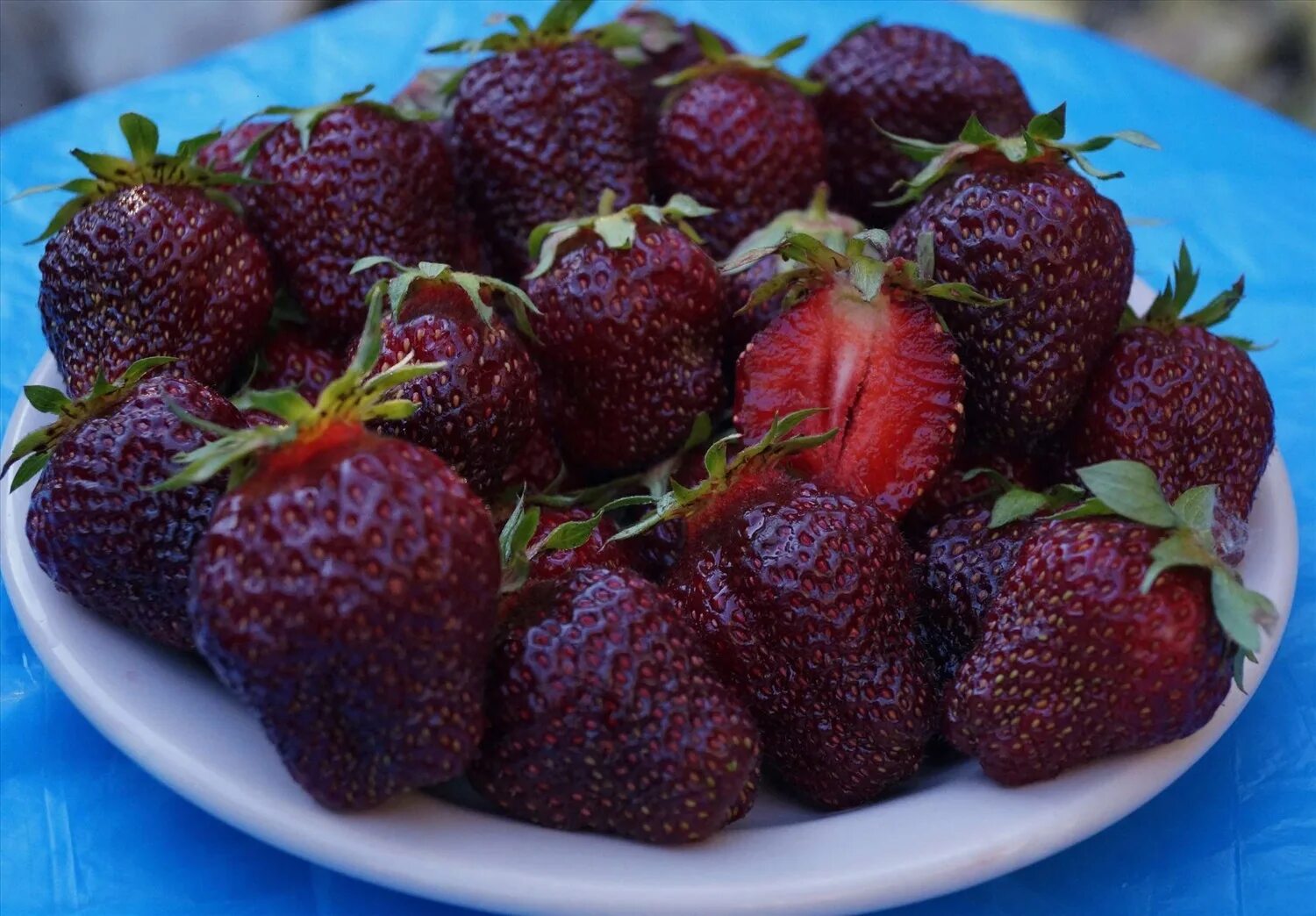 сорт клубники черный принц. ремонтантная клубника черный принц. сорт виктории черный принц. сорт клубники черный принц. саженцы клубники черный принц.