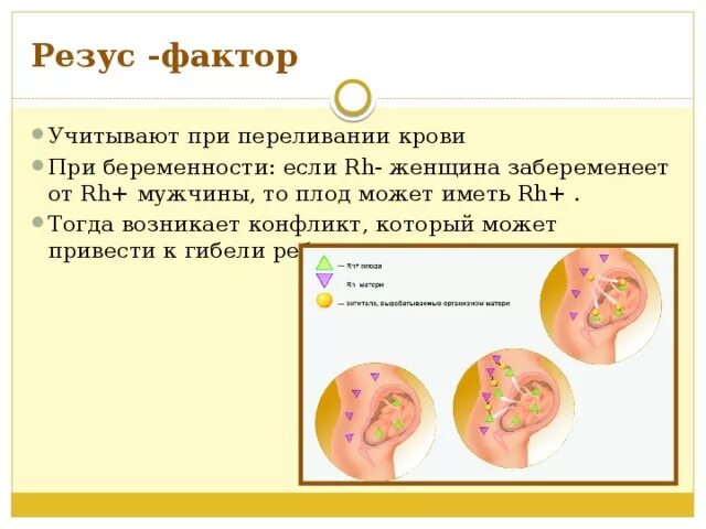 Резус значение. Конфликт резус факторов. Переливание крови резус-фактор. Резусфак ор при переливании. Конфликт резус факторов при переливании.