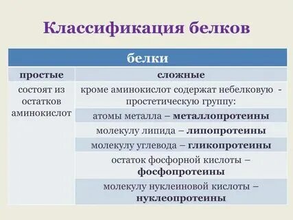 Основные признаки белки