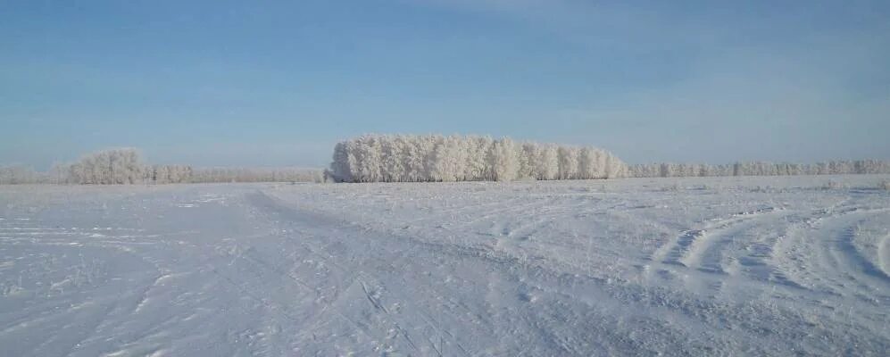 Село татарка черлакский район. Путь Ленина Омская область. Таврический район Омской области. Соляное Черлакский район. Черлакский район Омская область.