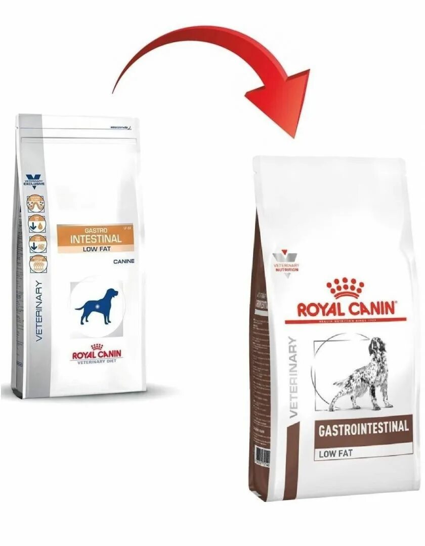 Royal canin gastrointestinal для кошек сухой. Корм гастро Роял Канин Лоу фэт. Роял Канин гастро Интестинал Лоу фэт для собак. Роял Канин гастро для собак сухой Лоу фэт. Роял Канин гастро Интестинал Лоу фэт для кошек.