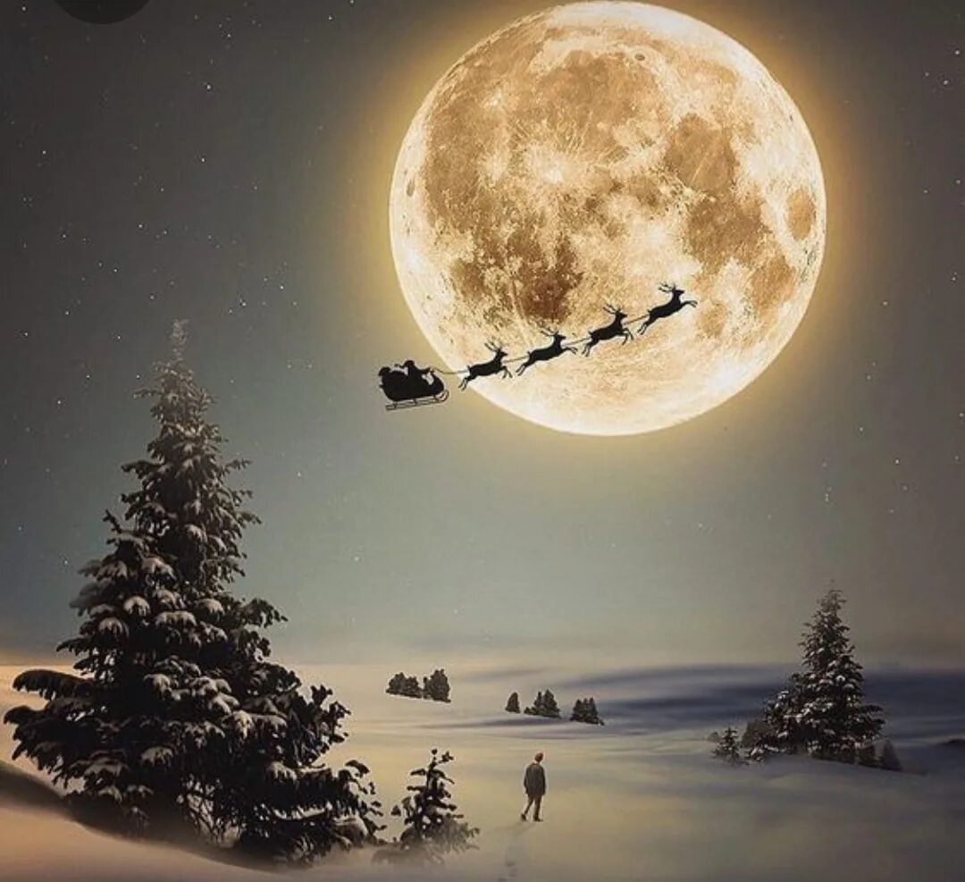 Ночная луна. Полнолуния страх. Луна и дерево. Полнолуние в октябре. Вечер полная луна.