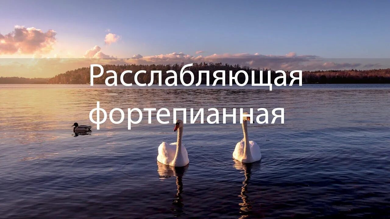 Слушать расслабляющие звуки. Успокаивающая картинка для нервной системы слушать.