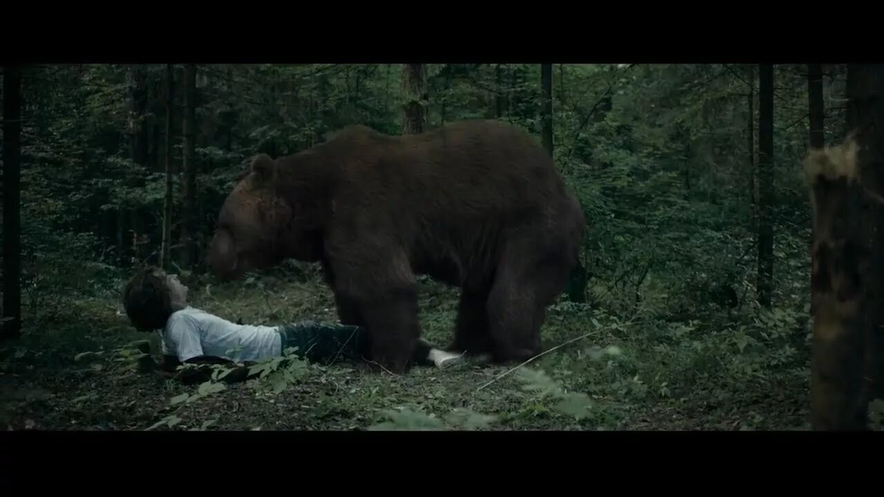 ужасы про медведей людоедов. ярость гризли фильм 2007. ужасы про медведей людоедов. фильм гризли 2015 медведь. фильм гризли 2015 медведь.