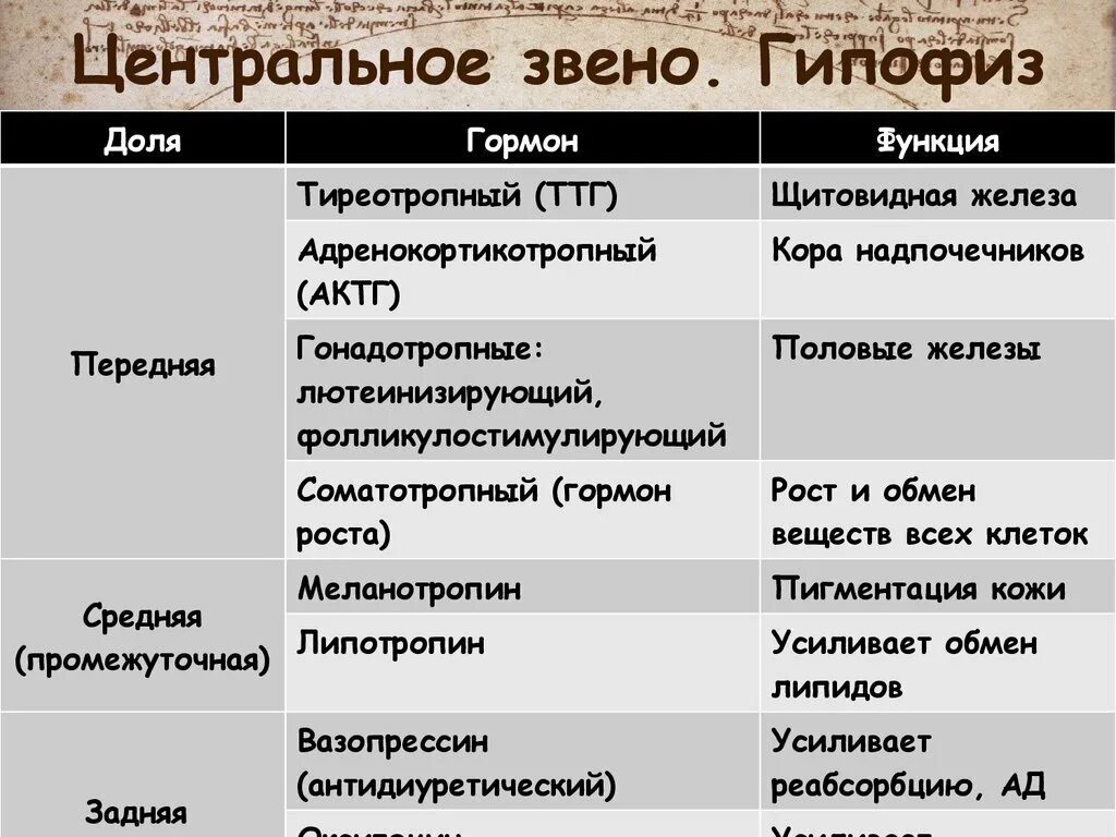 Гормоны переднего гипофиза. Гормоны гипофиза и их функции в организме. Гормоны долей гипофиза и их функции. Гормоны передней доли гипофиза таблица. Гормоны промежуточной доли гипофиза и их функции.