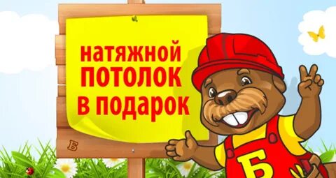 Мастер бобр сайт