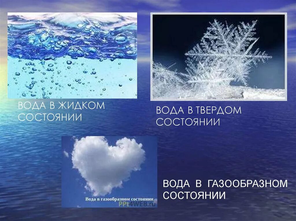 Картинка состояния воды. Вода в твердом жидком и газообразном состоянии. Вода жидкая твердая газообразная. Свойства воды в твердом состоянии. Газообразное состояние воды.