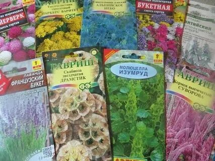 Семена сухих цветов