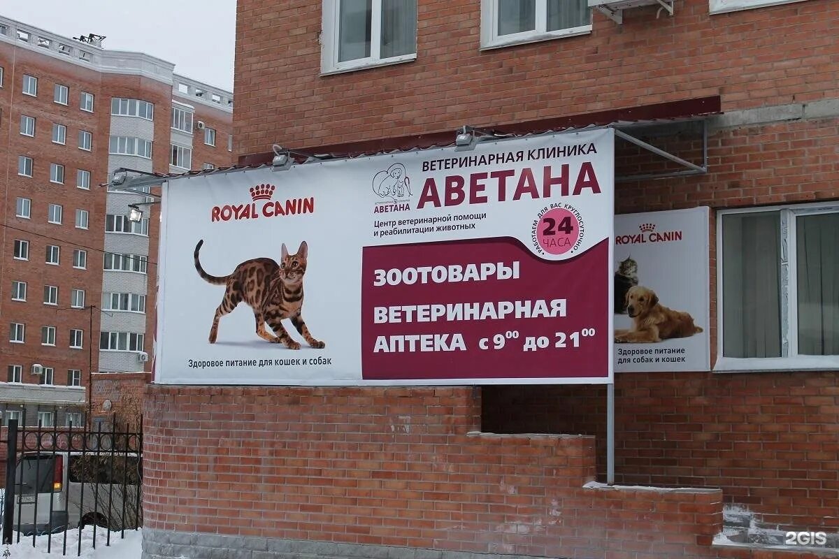 Ветеринарные клиники улан удэ адреса и телефоны. Аветана омск ветеринарная клиника. ветеринарная клиника вывеска. ветеринарная клиника баннер. вывеска для ветклиники.