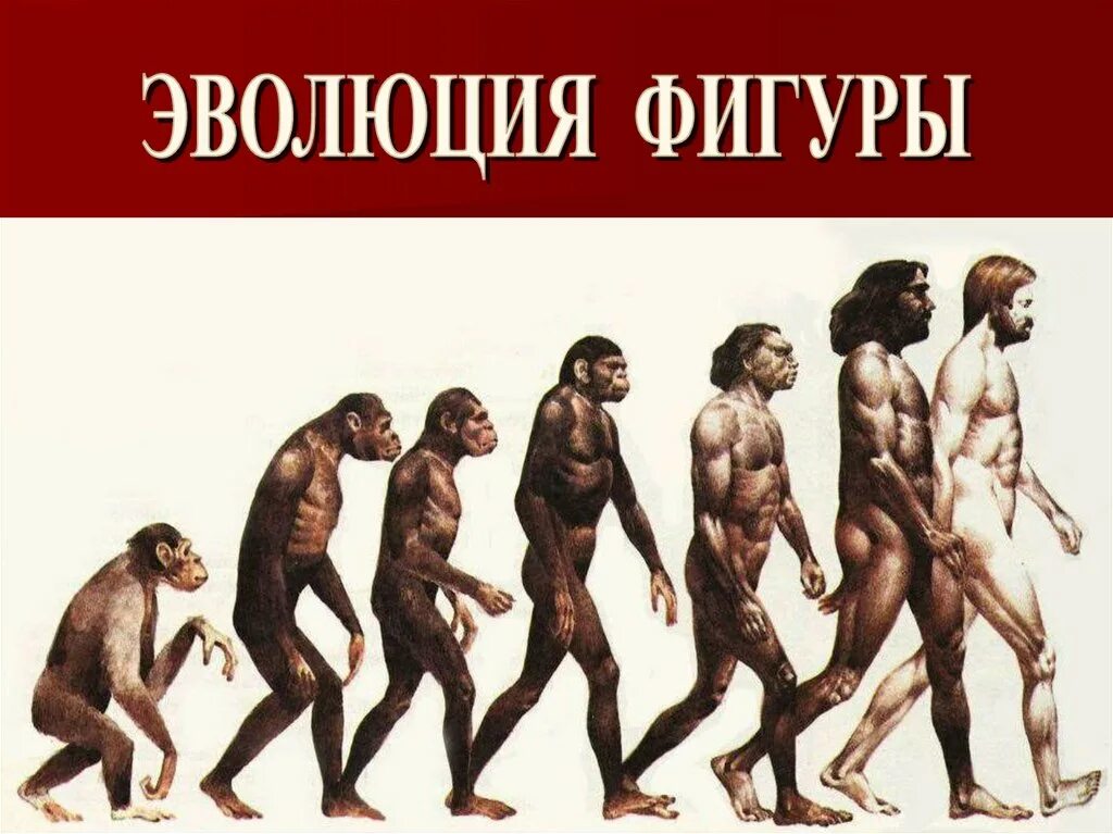 Возникновение и развитие эволюции. Хомо сапиенс неандерталенсис эволюция. дарвиновская теория эволюции. антропогенез дарвин. теория дарвина о эволюции человека.