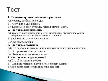 Тест 12 лист