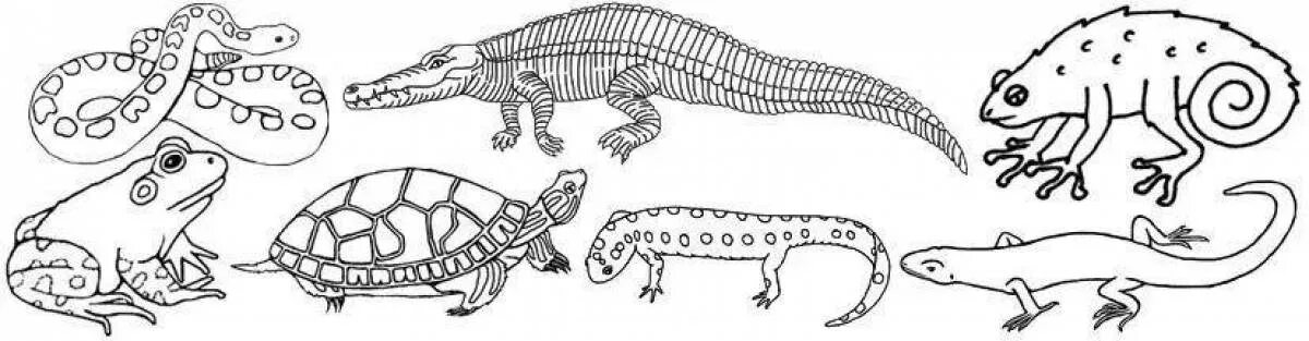 Пресмыкающиеся раскраска. Земноводные и пресмыкающиеся раскраска для детей. Раскраска рептилии. Земноводные и пресмыкающиеся задания для дошкольников.