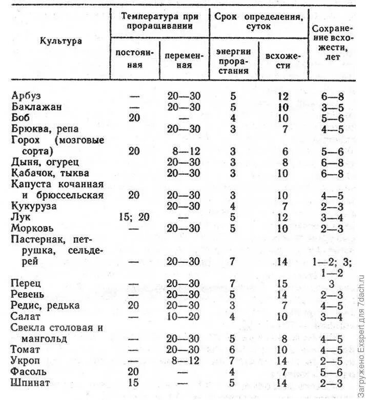 Через сколько дней всходят семена томатов. Сроки прорастания семян таблица овощей. Срок годности овощных семян таблица. Срок всхожести семян моркови. Сроки всхожести семян таблица.