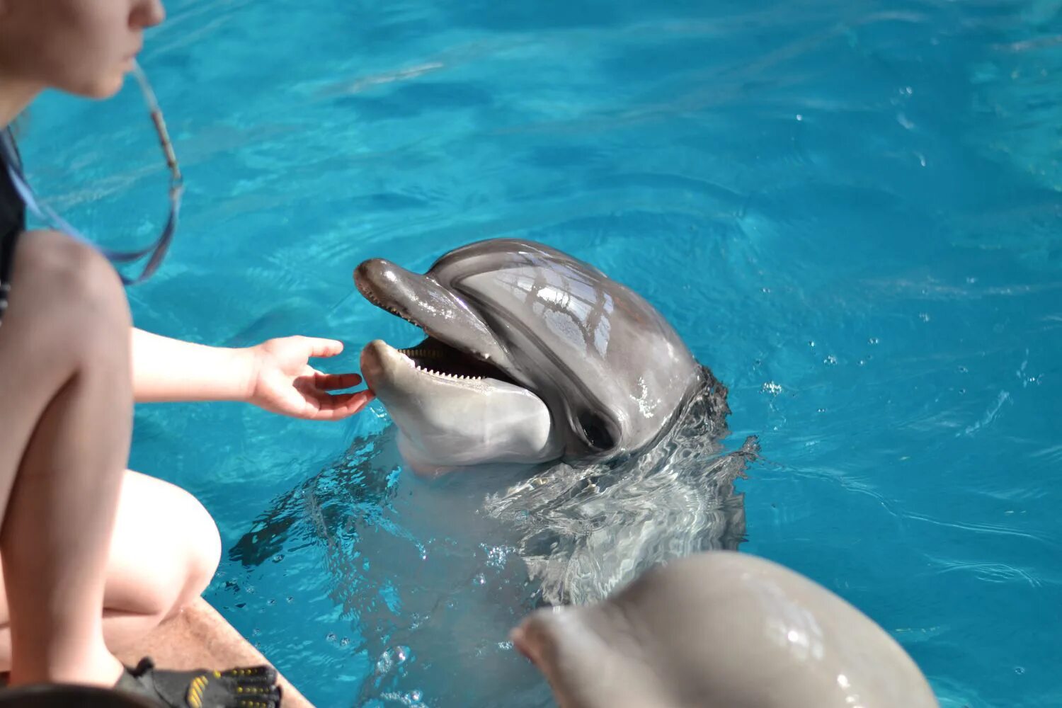 Куда сводить детей в челнах. Куда сводить ребенка в тюмени. Детский парк развлечений. Куда сводить детей в челнах. Места для развлечений в набережных челнах.