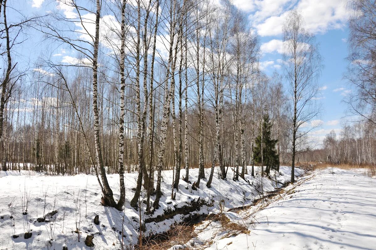 весна шумит. а воды уж весной шумят. шумят весной. уж обыкновенный - змея неядовитая. уж весной.
