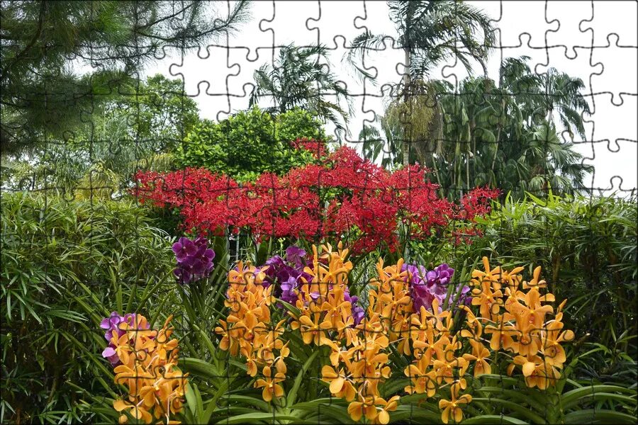 Сад орхидей (bali orchid garden) индонезия. Национальный сад орхидей в сингапуре. Национальный парк орхидей в сингапуре. Национальный сад орхидей в сингапуре. Сингапур орхидейная оранжерея.