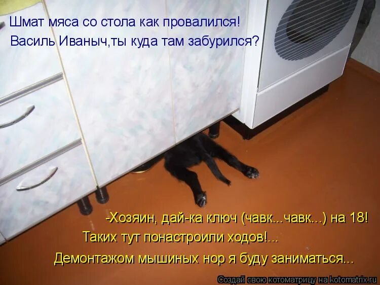 А почему здесь так тихо. Кота не вынимать он наказан. Кота из холодильника не вынимать он наказан. Котики достали. Пока блин.