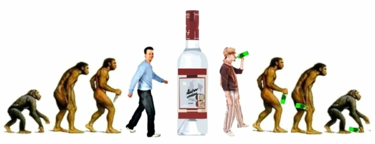 Обратка человеку