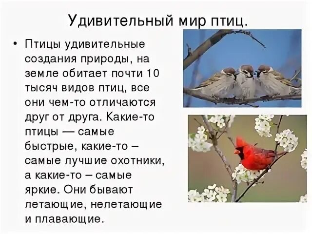 Как пишется удивительный
