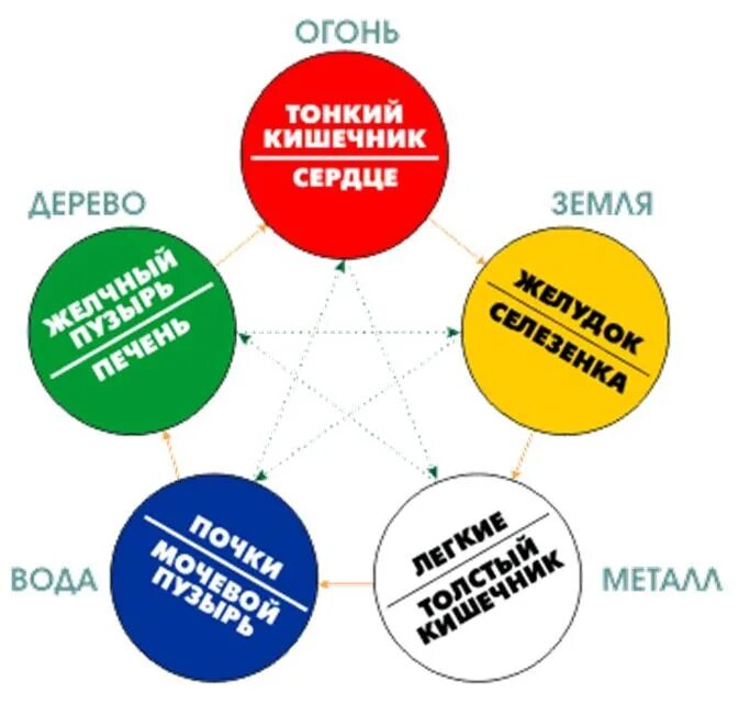 Пять вкусов человека. Теория Усин китайская. Круг у-син 5 элементов. Пять элементов в китайской медицине. Теория 5 элементов у-син.