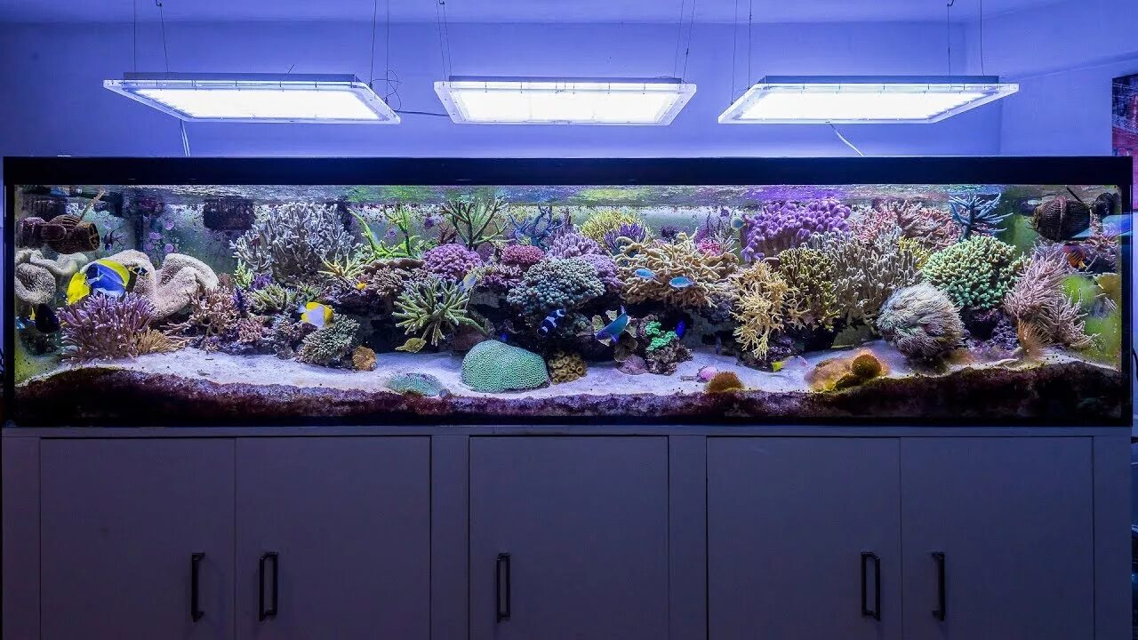 Marine aquarium. Имитация морского аквариума. Морской аквариум 100л. Аквариум морской ландшафт. Мини морской аквариум.