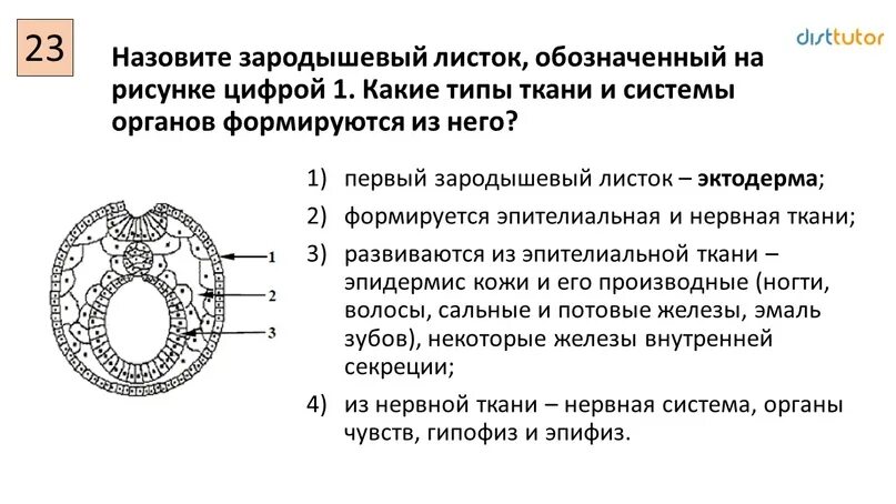 Биология егэ читать. ЕГЭ по биологии задания. Биология (ЕГЭ). Задания части с по биологии ЕГЭ. 27 По биологии ЕГЭ.