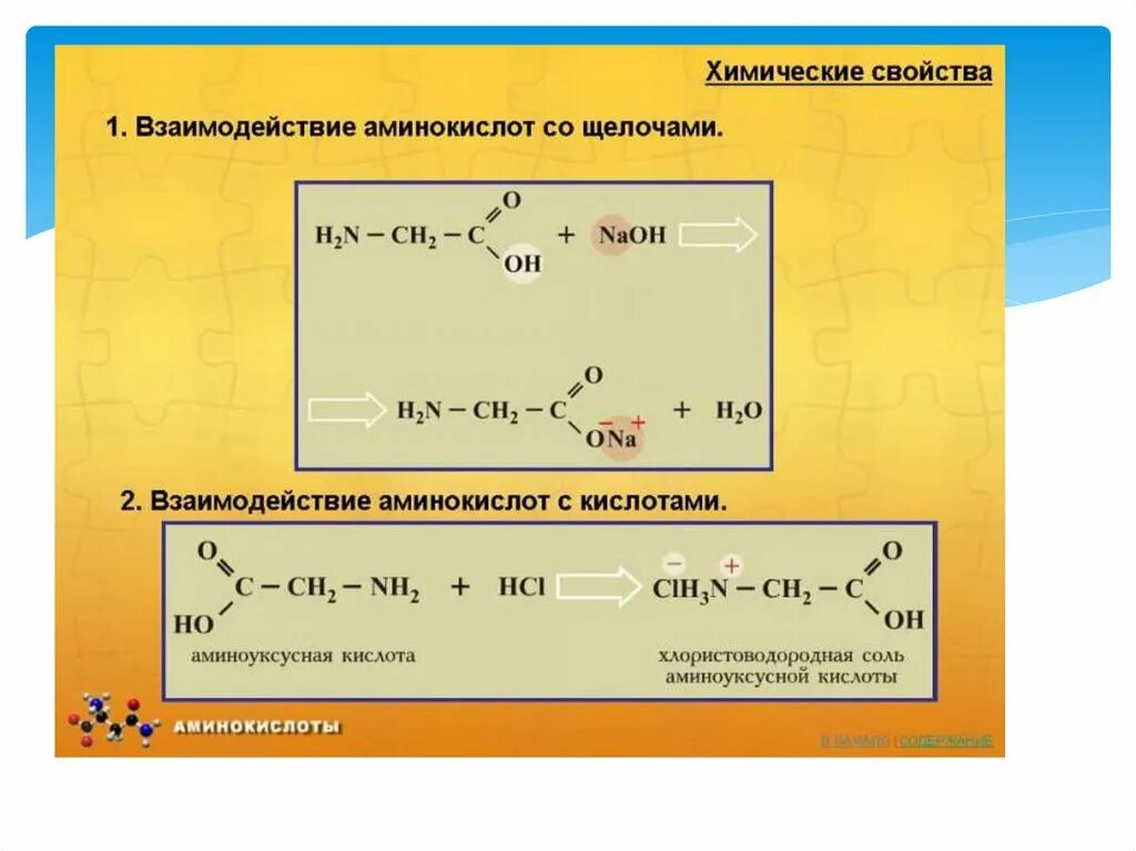 Взаимодействие аминокислот с кислотами