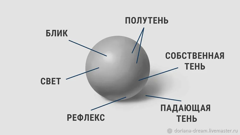 Свет и тень читать. Шар тень полутень блик рефлекс. Свет тень полутень рефлекс блик в рисунке. Блик тень полутень рефлекс в рисунке. Тени светотени полутени.