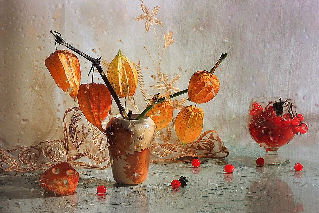 осенний натюрморт с физалисом. физалис натюрморт. физалис натюрморт. дизайнерский натюрморт. физалис натюрморт.
