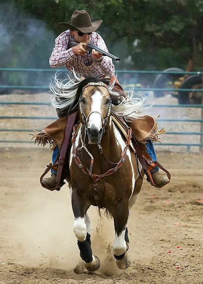 Хорс райдинг. Лошади в яблоко ковбои. Cowboy horse. Вестерн райдинг. Ковбой верхом на лошади.