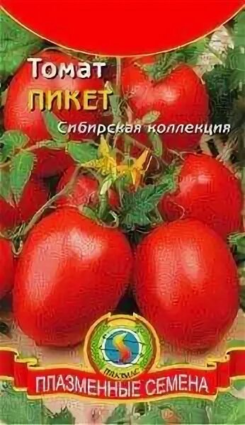 Томат пикет. Томат пикет семена Алтая. Сорт томатов пикет. Томат Элегант. Томаты пикет описание сорта.