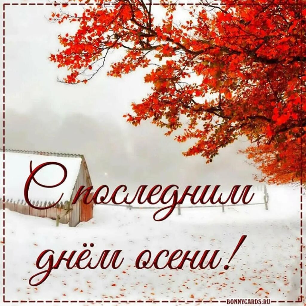 С добрым утром прощай ноябрь. Последний деньоктябрч. Доброе утро ноябрь. С последним днем осени. Прощай осень.
