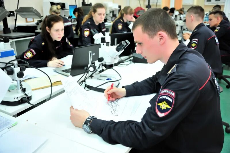 Управление безопасностью правоохранительных. Экспертно-криминалистический центр МВД России. Информационные технологии в полиции. Информационные технологии в деятельности ОВД. Эксперт МВД.