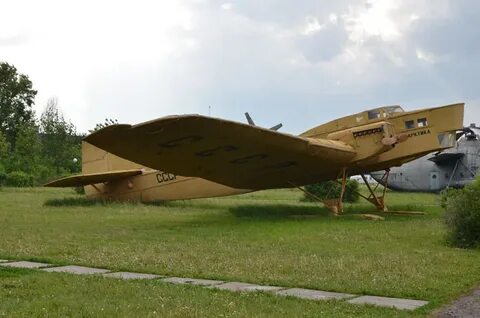 Ант 4