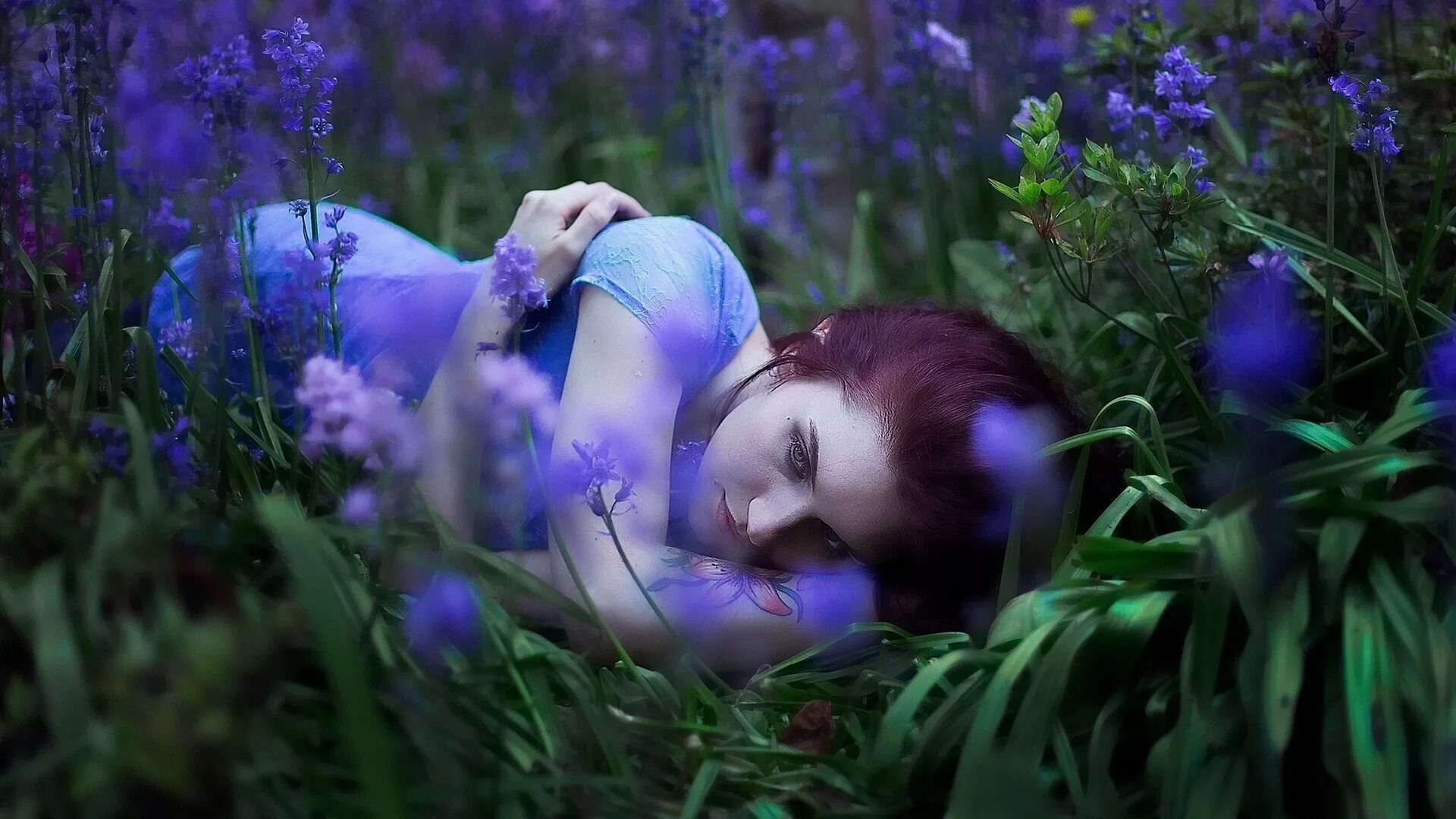 Поле цветов во сне. Девушка лежит в цветах. Девушка лежит в синих цветах. Женщина лежит на траве. Девушка среди цветов.
