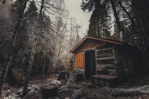 Хижина музыканта лесник
