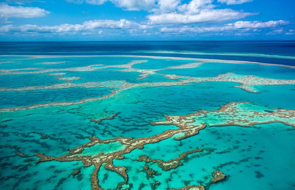 Great coral reef. Большой Барьерный риф. Барьерный риф в Австралии. Большой Барьерный риф в коралловом море. Большой коралловый риф в Австралии.