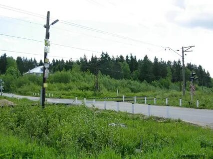 Осельки девяткино