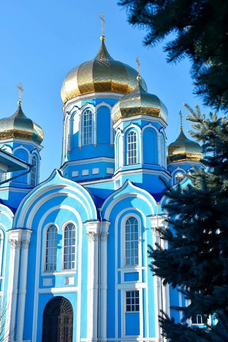 Лисицкий рождество-богородицкий монастырь. Задонский рождество-богородицкий мужской монастырь. Задонский мужской монастырь службы. Богородицкий монастырь задонск. Задонский мужской монастырь службы.