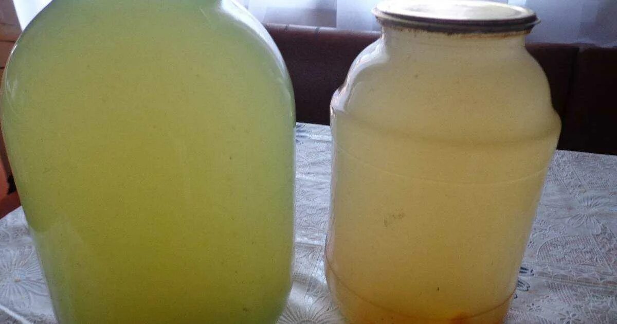 Забродивший березовый сок. Берёзовый сок. цвет березового сока. рецептик консервации березового сока. мутный березовый сок.